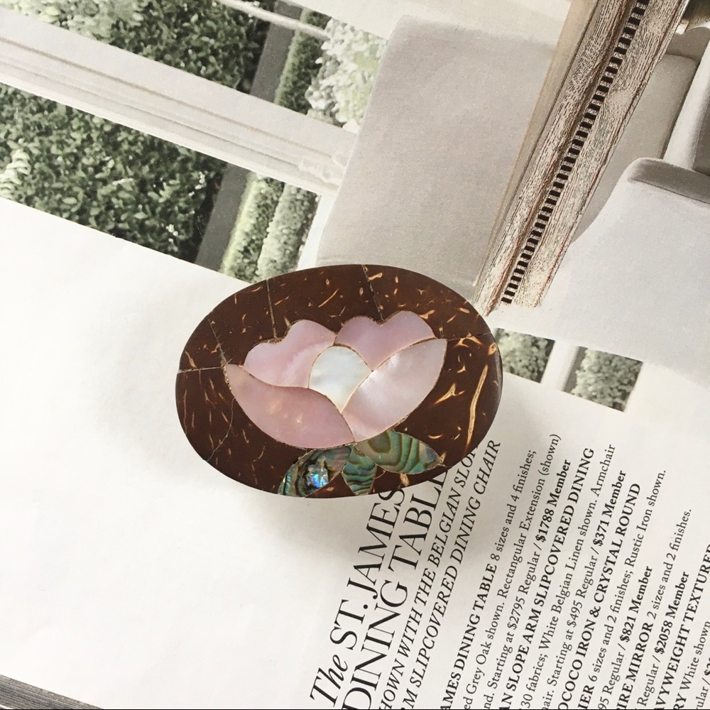 Vintage Mother of Pearl Pin